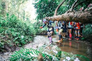 BIB: 
                            <button type="button" onclick="openModal(25471558)" class="btn btn-primary btn-sm float-right btn-popup" data-toggle="modal" data-target=".modal-high-quality">
                        <i class="fas fa-shopping-cart"></i> Add to Cart
                    </button>
                                            <button type="button" onclick="isThisMe(25471558, true)" class="btn btn-success btn-sm float-right btn-popup btn-isme hidden" data-toggle="tooltip" data-placement="bottom" title="นี่คือรูปของคุณใช่ไหม คลิกที่นี่เพื่อเอาเข้าอัลบั้ม">
                        <i class="fas fa-plus"></i> Add to album
                    </button>
                    <button type="button" onclick="isThisMe(25471558, false)" class="btn btn-warning btn-sm float-right btn-popup btn-isnotme hidden">
                        <i class="fas fa-ban"></i> Remove from album
                    </button>